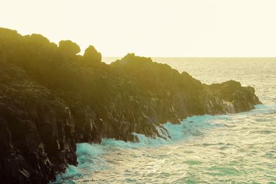 Close-up of beach against sky
