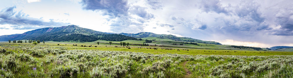 Panoramic view of landscape against sky