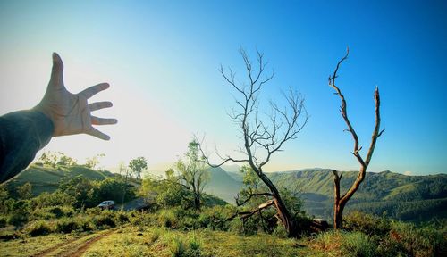 Cropped hand of man gesturing towards sky on field