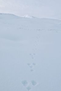 Snow covered mountain range