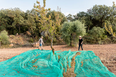 Aged man and adult woman in casual outfit holding mesh while picking nuts in countryside