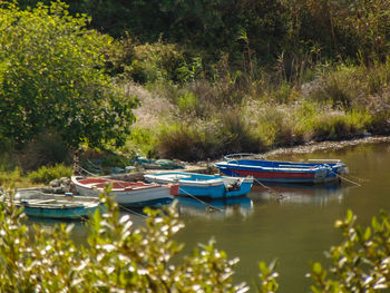 Boats moored in lake against trees