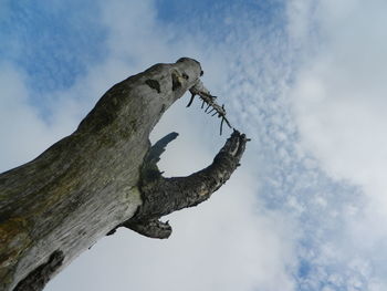 Low angle view of statue on tree against sky