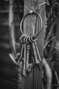 Close-up of chain hanging on metal fence