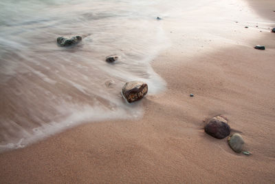 High angle view of rocks on wet shore