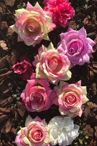 Close-up of pink rose bouquet