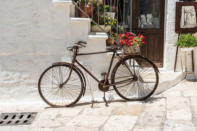 Bicycle parked by potted plants on footpath