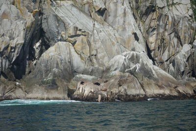 Rock formations in sea