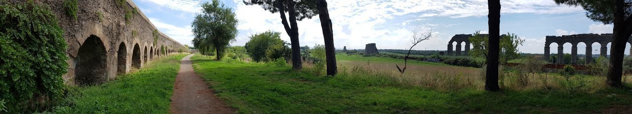 Panoramic shot of trees on field against sky