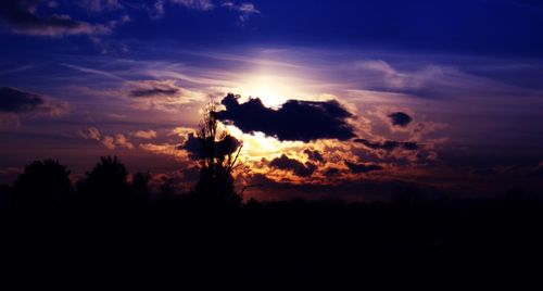 Silhouette trees against sky during sunset