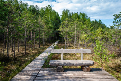 Empty bench in park