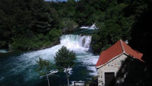 Scenic view of waterfall in forest