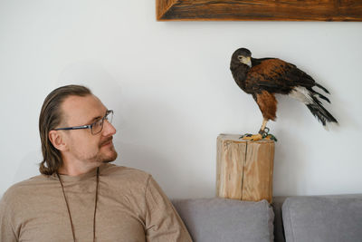 Man with eagle buzzard at home. unusual pets and human animal friendship relationships. wild bird on