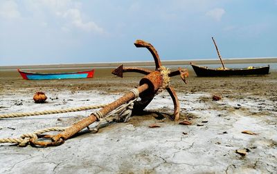 Driftwood on beach by sea against sky