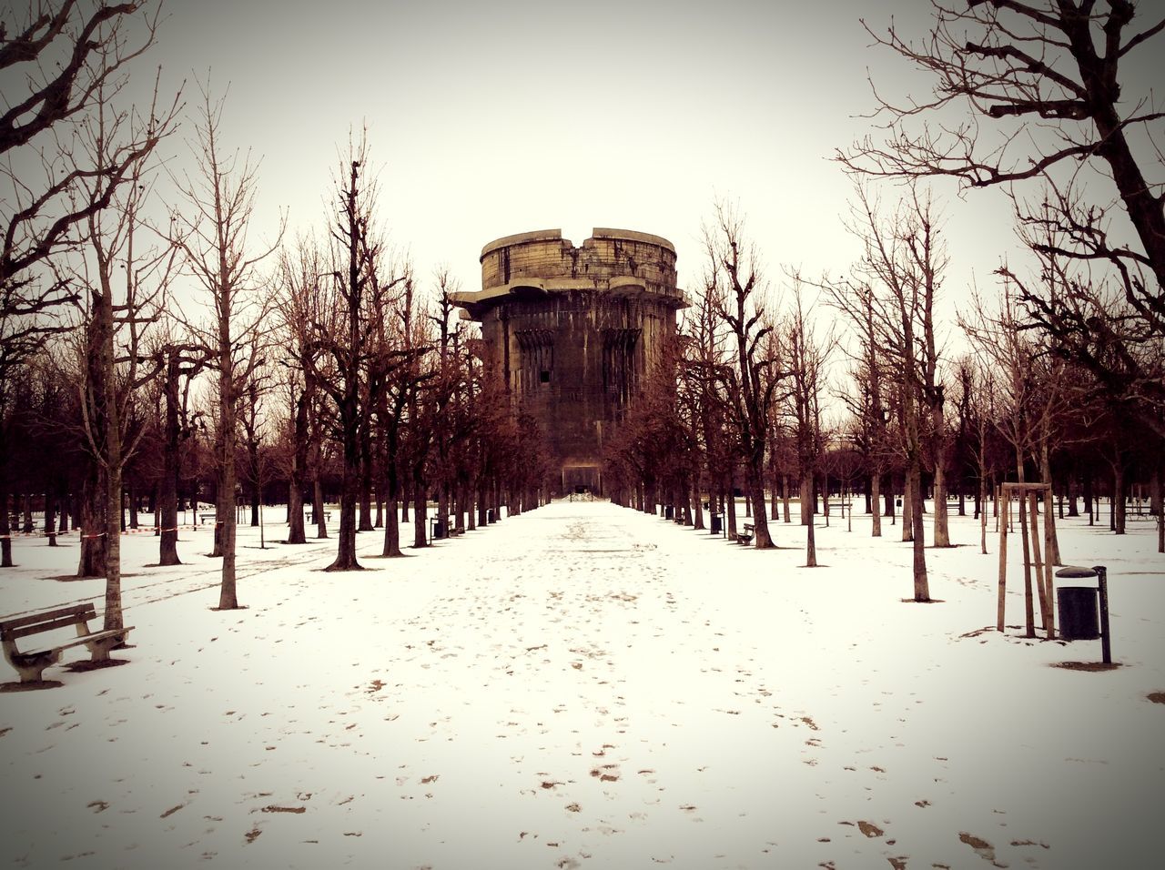 architecture, built structure, tree, building exterior, bare tree, clear sky, the way forward, sky, snow, winter, cold temperature, diminishing perspective, day, tranquility, outdoors, house, nature, branch, no people, tree trunk