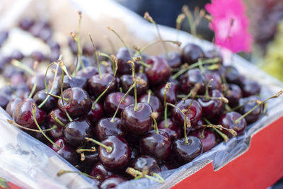 High angle view of berries on table