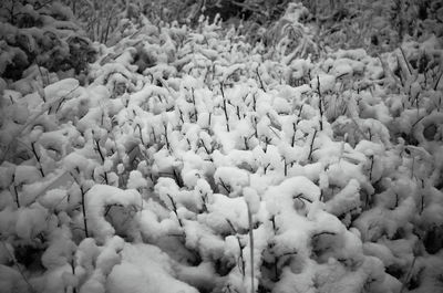 Full frame shot of snow on water