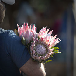 Midsection of man holding pink flowers