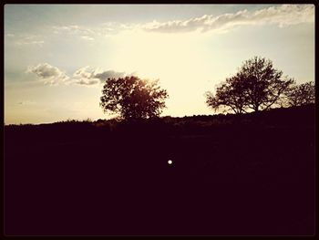 Silhouette of trees on landscape at sunset