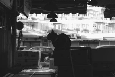 Rear view of woman standing in store