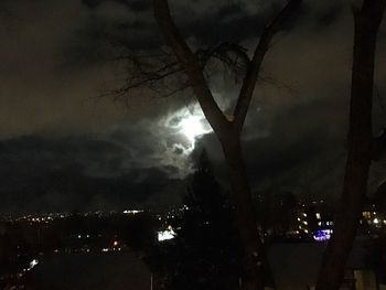 Illuminated trees against sky at night