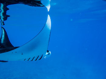 Low angle view of boat in sea