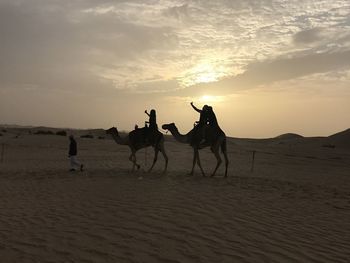 Horses riding horse in desert against sky