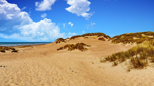 Scenic view of beach against blue sky