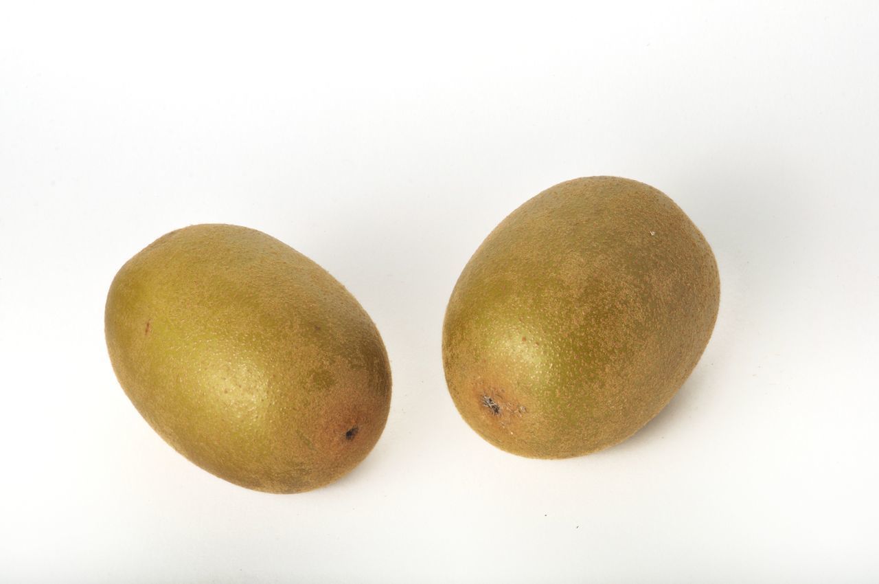 DIRECTLY ABOVE SHOT OF FRUITS IN WHITE BACKGROUND