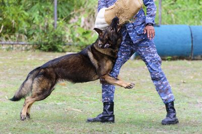 Full length of a man with dog