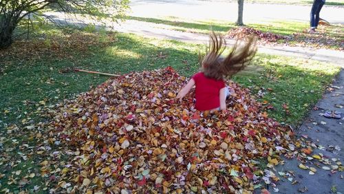 Full length of child tree during autumn