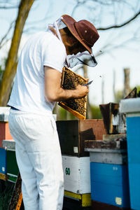 Beekeeper inspects beehive