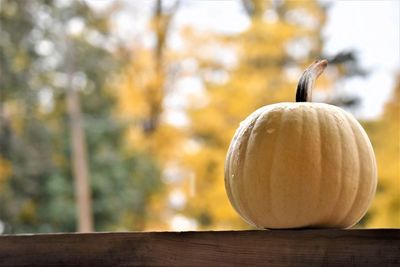 Close-up of pumpkin on table