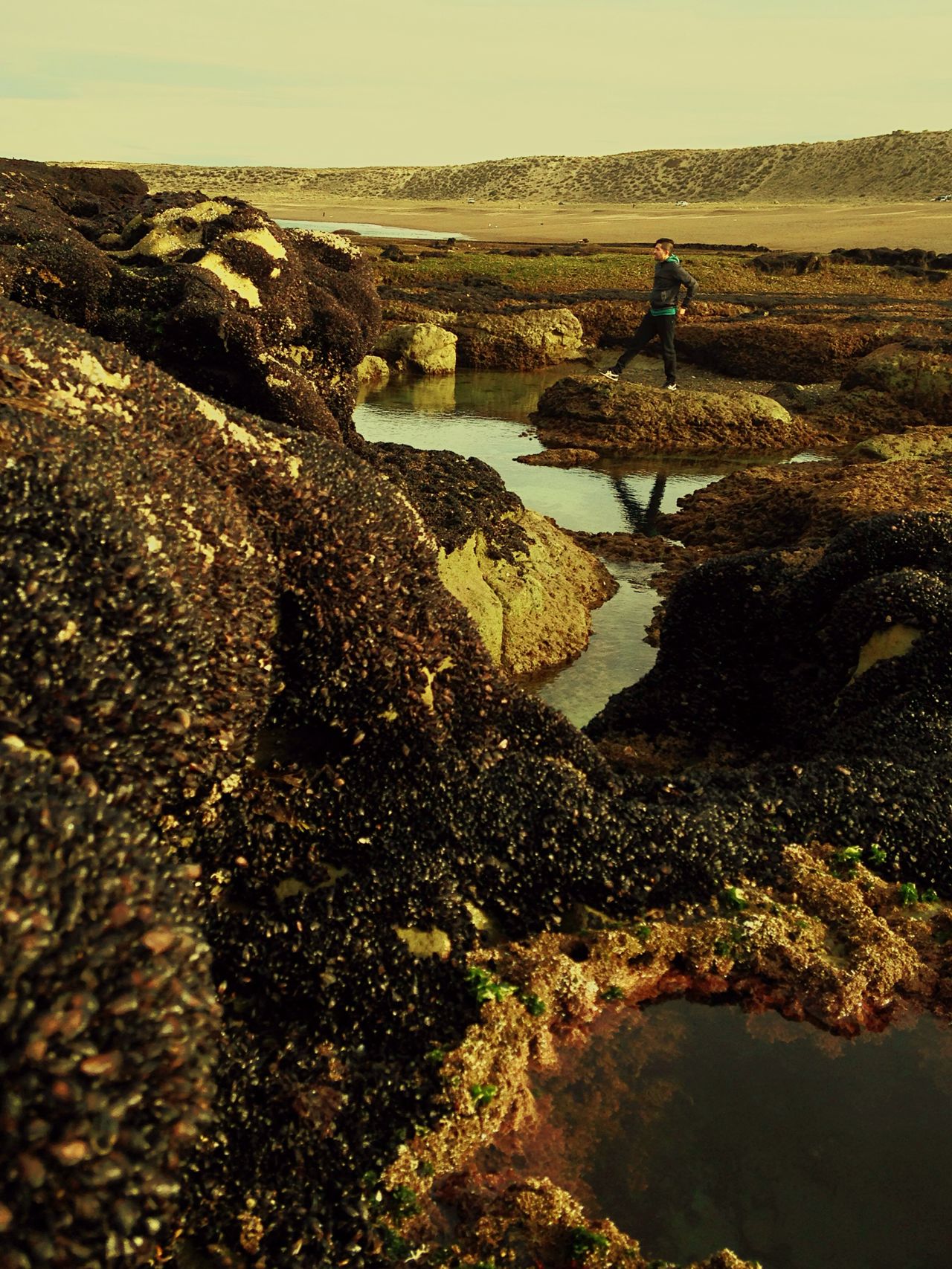 Isla escondida. Trelew, Chubut, Argentina