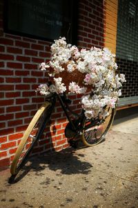 Flowers on bicycle against brick wall