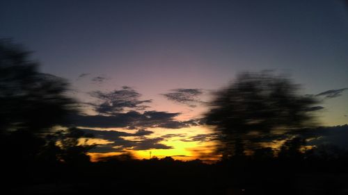 Silhouette trees at sunset