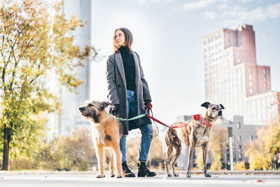 Portrait of woman with dogs on road