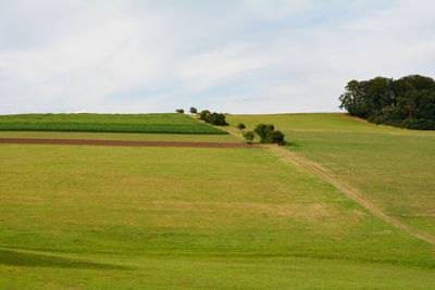 Scenic view of landscape against sky