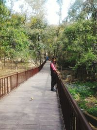 Footpath leading towards trees