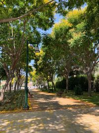 Street amidst trees in park