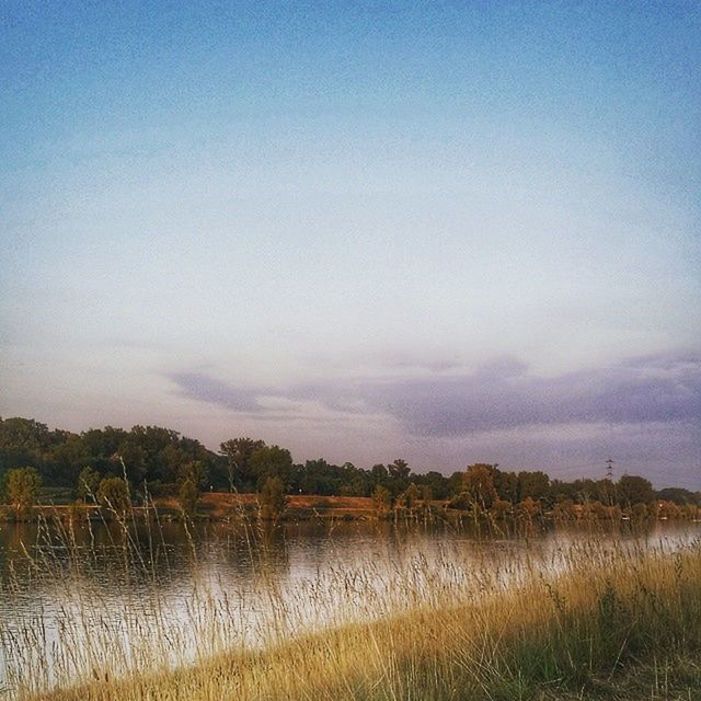 tranquil scene, tranquility, water, scenics, sky, beauty in nature, lake, nature, landscape, grass, idyllic, copy space, field, blue, non-urban scene, countryside, calm, plant, outdoors, no people