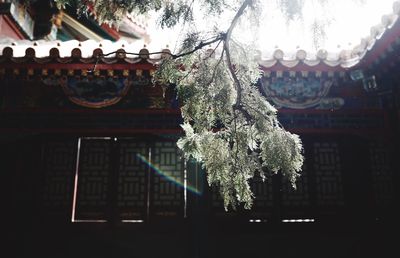 Low angle view of decoration hanging on roof