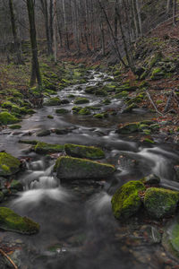 Stream flowing through rocks in forest