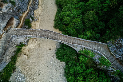 High angle view of arch bridge amidst trees