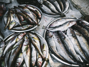 High angle view of fish for sale in market