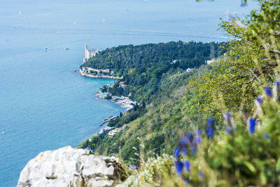 High angle view of sea and trees