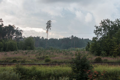 Scenic view of field against sky