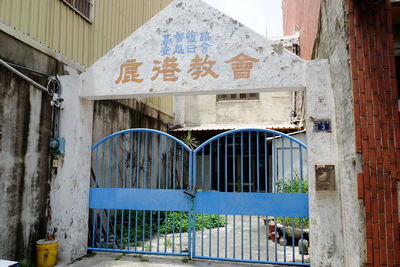 Cat in front of building