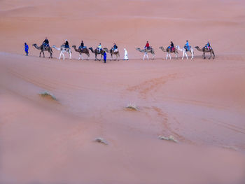 Group of people on the beach