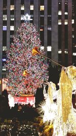 Low angle view of flowers in building